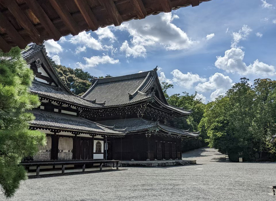 校友KIKOU　川村 俊弘 師